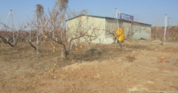 충청북도 음성군 감곡면 왕장리 OOOOO 창고용지 경매 물건 이미지
