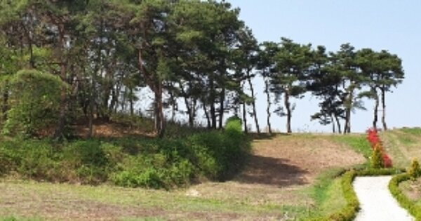 전라북도 남원시 사매면 오신리 OOO 임야 경매 물건 이미지
