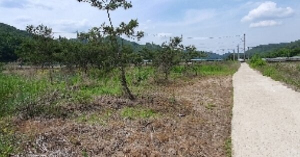 충청북도 영동군 양산면 누교리 OOO 답 경매 물건 이미지