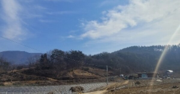 충청북도 괴산군 청천면 후평리 OOO 임야 경매 물건 이미지