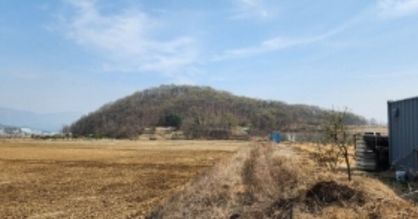경상북도 구미시 고아읍 파산리 OOOOO 임야 경매 물건 이미지