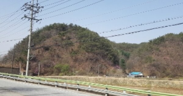 강원도 양구군 양구읍 한전리 OOO 임야 경매 물건 이미지
