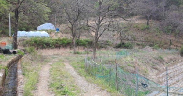 경상북도 성주군 가천면 화죽리 OOO 대지 경매 물건 이미지