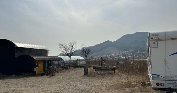 충청남도 예산군 광시면 장전리 OOO 답 경매 물건 이미지