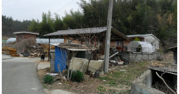 경상북도 성주군 선남면 도성리 OOO 대지 경매 물건 이미지