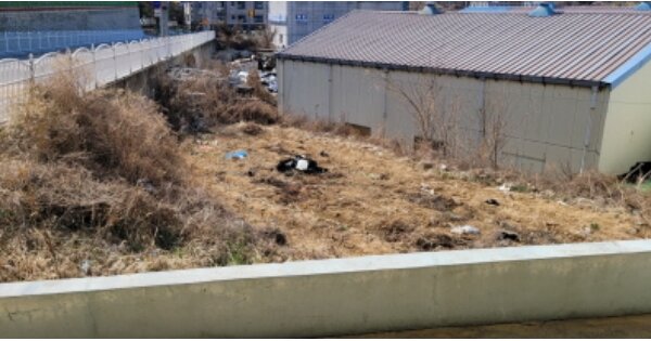 경상북도 칠곡군 석적읍 남율리 OOOOO O OOO 대지 경매 물건 이미지