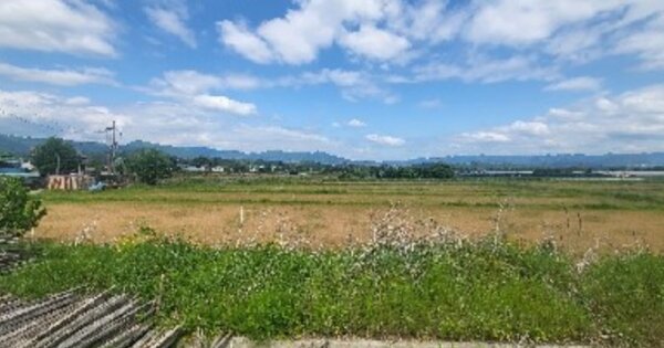 강원도 춘천시 서면 서상리 OOOO O OOO 전 경매 물건 이미지