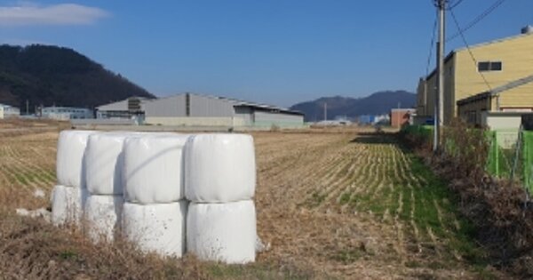 경상남도 김해시 한림면 안하리 OOOO 답 경매 물건 이미지