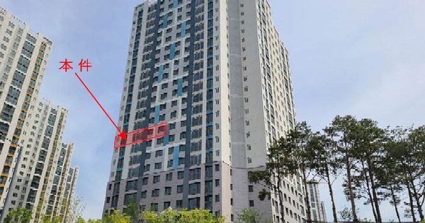 경기 평택시 동삭동 388-13, 203동 OOOOOO OOOOOOOOOOOOOOOOOOO O OOOO 아파트 경매 물건 이미지