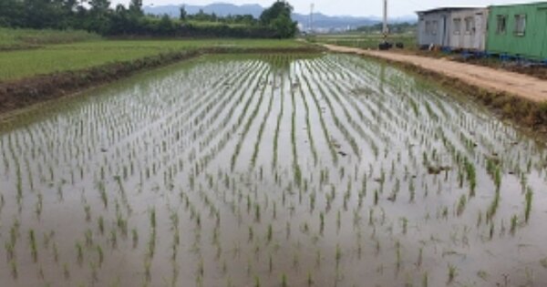 충청남도 예산군 오가면 역탑리 OOOOO 답 경매 물건 이미지