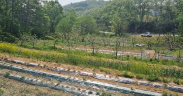 충청남도 아산시 신창면 가덕리 OOOOO 전 경매 물건 이미지