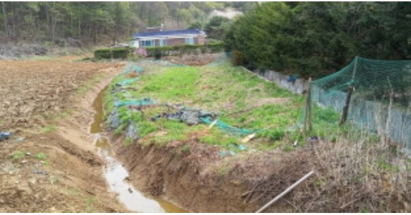 경기도 연천군 청산면 궁평리 OOO O OOO 답 경매 물건 이미지