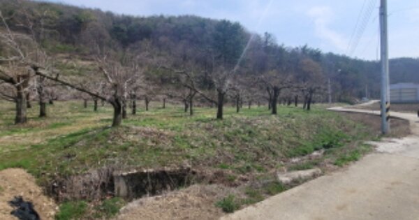 경상북도 청도군 이서면 대곡리 OOO 전 경매 물건 이미지