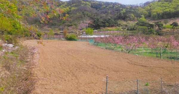 경상북도 청도군 이서면 수야리 OOOO 답 경매 물건 이미지