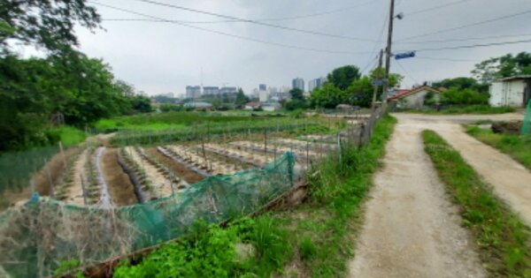 경기도 오산시 원동 OOOOOO 답 경매 물건 이미지