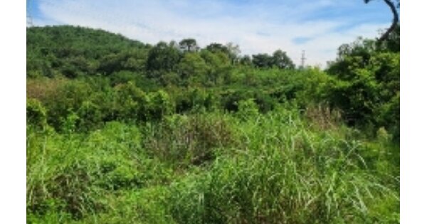 광주광역시 광산구 고룡동 OOO 전 경매 물건 이미지
