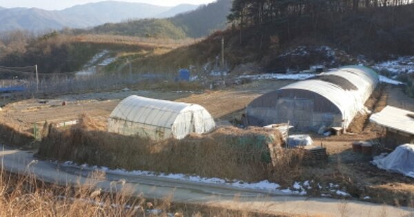경상남도 거창군 거창읍 장팔리 OOO 답 경매 물건 이미지