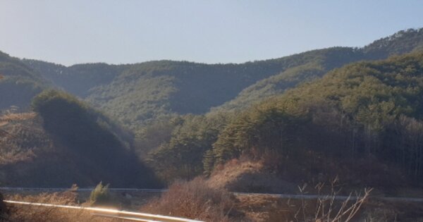 경상남도 합천군 삼가면 덕진리 OOO 임야 경매 물건 이미지