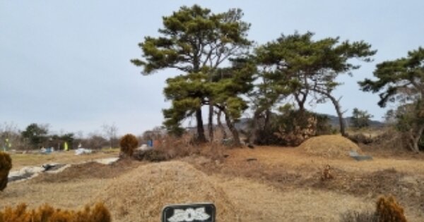 경상북도 경주시 마동 OOOOO 묘지 경매 물건 이미지