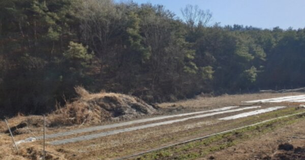 경상북도 경주시 서면 도계리 OOOOO O OOO 과수원 경매 물건 이미지