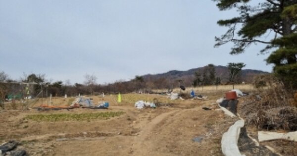 경상북도 경주시 마동 OOOOO 전 경매 물건 이미지