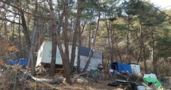 경상북도 청송군 진보면 괴정리 OOOOO 임야 경매 물건 이미지