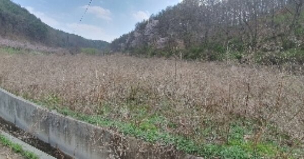 충청북도 영동군 영동읍 산이리 OOO 전 경매 물건 이미지