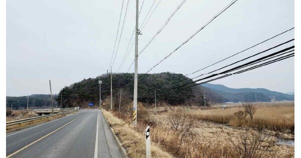 충청남도 보령시 오천면 오포리 OO O OOO 임야 경매 물건 이미지