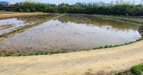 충청남도 보령시 청소면 장곡리 OOOOOO 답 경매 물건 이미지