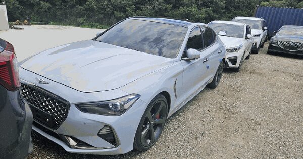 G70 등록번호 : 39더7443 미지정 경매 물건 이미지