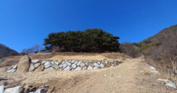 경상남도 하동군 적량면 서리 OOO 답 경매 물건 이미지