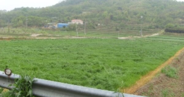 경상남도 산청군 단성면 강누리 OOOOOO 답 경매 물건 이미지