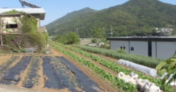 경상남도 남해군 서면 대정리 OOOOOO 전 경매 물건 이미지