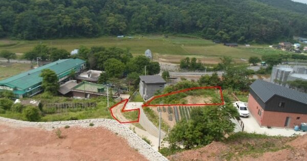 경기도 양평군 양서면 부용리 OOO 임야 경매 물건 이미지