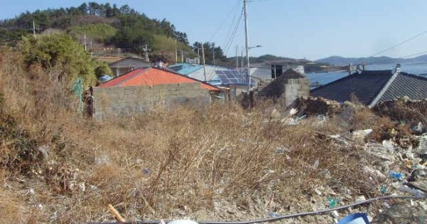 전라남도 완도군 노화읍 방서리 OOOOO 전 경매 물건 이미지