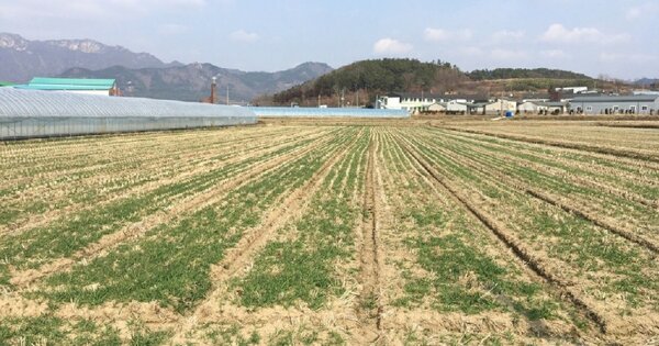 전라남도 해남군 계곡면 덕정리 OOOOOO 답 경매 물건 이미지