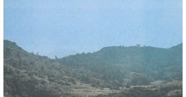 전라남도 여수시 삼산면 덕촌리 OOO 대지 경매 물건 이미지