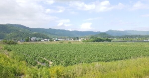 강원도 춘천시 서면 서상리 OOOO 전 경매 물건 이미지