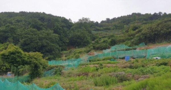 전라남도 여수시 봉강동 OOO 전 경매 물건 이미지