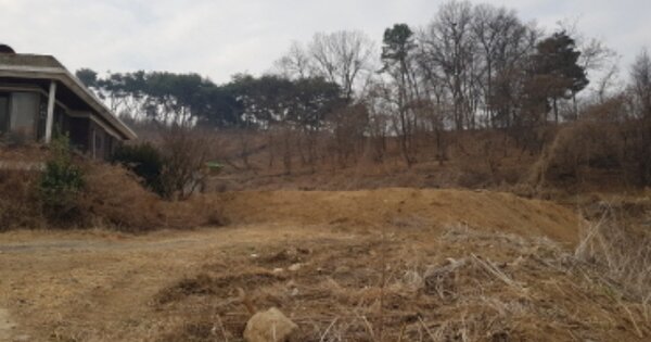 경기도 화성시 봉담읍 덕리 OOO 임야 경매 물건 이미지
