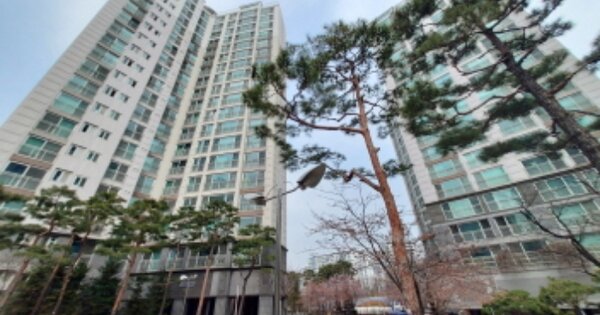 경기 용인시 기흥구 영덕동 961, 801동 OOOOOOOO OOOOOOOOOOOOOOOOOOO 아파트 경매 물건 이미지