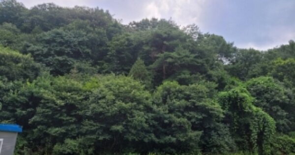 충청북도 청주시 서원구 남이면 외천리 OOOO 임야 경매 물건 이미지
