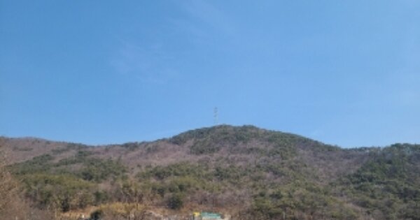전라남도 담양군 용면 용연리 OOO 임야 경매 물건 이미지