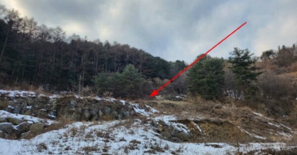 경기도 가평군 설악면 선촌리 OOOOO 전 경매 물건 이미지