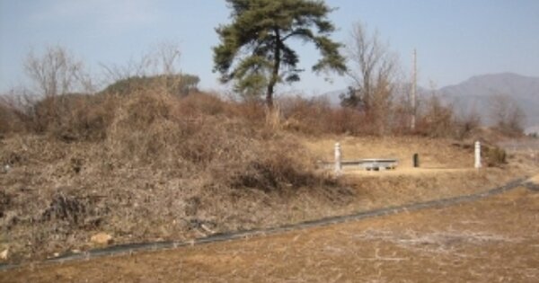 경상북도 문경시 동로면 노은리 OO 임야 경매 물건 이미지