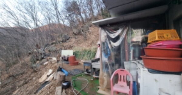 경기도 가평군 청평면 대성리 OOOOOO 임야 경매 물건 이미지