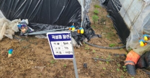 전라남도 곡성군 곡성읍 장선리 OOOO 답 경매 물건 이미지
