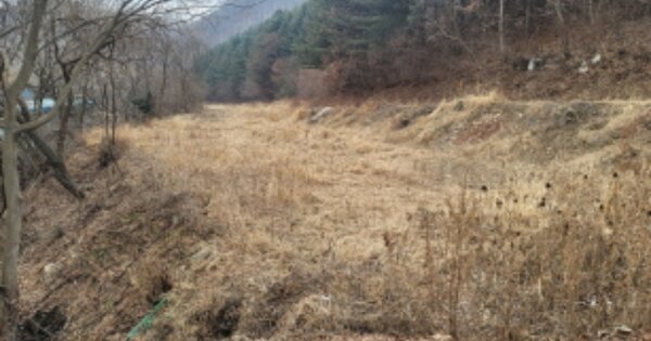 충청남도 천안시 동남구 광덕면 원덕리 OOO O OOO 전 경매 물건 이미지