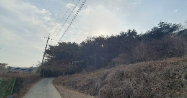 경상남도 함안군 칠북면 가연리 OOO 임야 경매 물건 이미지