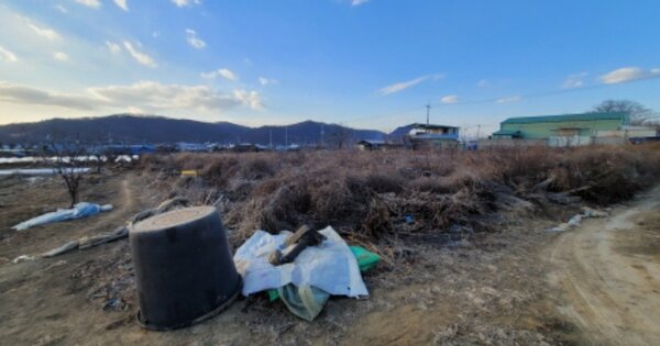 경상북도 영천시 도동 OOOO 과수원 경매 물건 이미지
